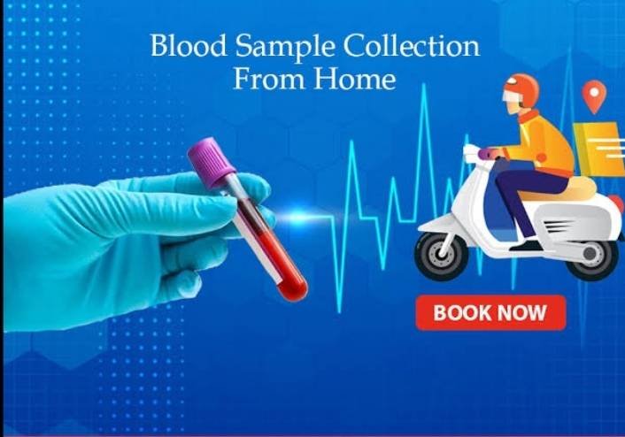 Blood Sample Collection Service 